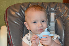  The Teething Egg The Molar Magician for the Back Teeth and Gums Review