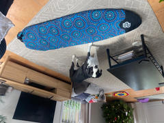 BoardSox  Bombora Boardsox® Fun/Hybrid Surfboard Cover Review