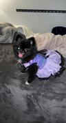 Popatu Pawpatu Purple Butterfly Costume Dress for Pets Review