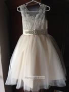 Misdress Champagne Lace Tulle Sheer Back Wedding Flower Girl Dress with Beaded Belt Review