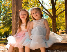 Misdress Ivory Lace Peach / Red / Silver / Purple Tulle Flower Girl Dress Review