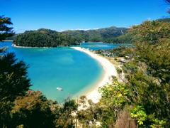 Simify New Zealand Travel SIM Card | Unlimited Data, Calls & Texts | 30 Days Review
