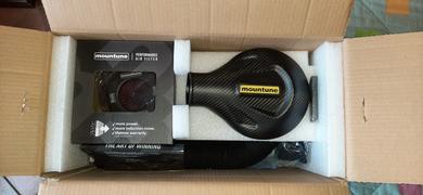 mountune Carbon Induction Kit [Mk8 Fiesta ST | Puma ST] Review