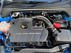 mountune Carbon Rear Intake [Mk4 Focus ST] Review