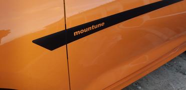 mountune Dynamic Side Splash [Mk8 Fiesta ST] Review