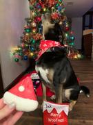 Wüfers Cookie Boxes for Dogs Night Before Christmas Cookie Box Review