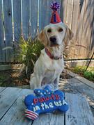 Wüfers Dog Bless America Cookie Box Review