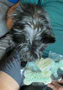 Wüfers Cookie Boxes for Dogs Birthday Boy + Dog Bless America Cookie Box Bundle Review