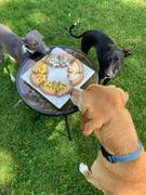 Wüfers Cookie Boxes for Dogs Pizza My Heart + Dog Bless America Cookie Box Bundle Review