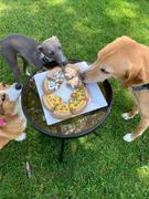 Wüfers Cookie Boxes for Dogs Pizza My Heart + Dog Bless America Cookie Box Bundle Review