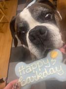 Wüfers Birthday Boy Cookie Box Review