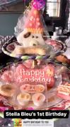 Wüfers Birthday Girl Cookie Box Review
