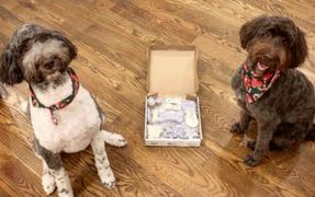 Wüfers Cookie Boxes for Dogs Snow Cute Cookie Box Review