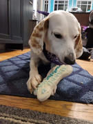 Wüfers Gotcha Day Cookie Box Review