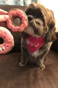 Wüfers Cookie Boxes for Dogs Gotcha Day + Doggie Donut Cookie Box Bundle Review