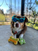 Wüfers Toadally Awesome Cookie Box Review