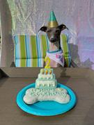 Wüfers Cookie Boxes for Dogs Two Birthday Boy Cookie Box Bundle Review