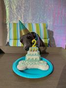 Wüfers Cookie Boxes for Dogs Two Birthday Boy Cookie Box Bundle Review