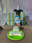 Wüfers Cookie Boxes for Dogs Two Birthday Boy Cookie Box Bundle Review