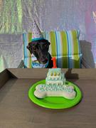 Wüfers Cookie Boxes for Dogs Two Birthday Boy Cookie Box Bundle Review