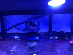 Avast Marine Works Plank v3.5 Mixing Pump Upgrade Review
