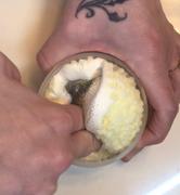 Momo Slimes Eggnog Pie Review