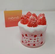 Momo Slimes Strawberry Cream Cake Review