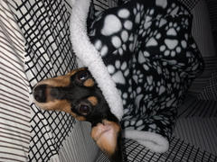 WeenieWarmers Black Paw Print Fleece/Sherpa Weenie Warmer Review