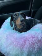 WeenieWarmers The POOF! Calming Dog Bed Review