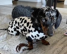 WeenieWarmers Moo Jams Review