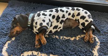 WeenieWarmers Moo Jams Review