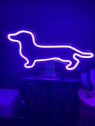WeenieWarmers Dachshund Shape Neon Light Review