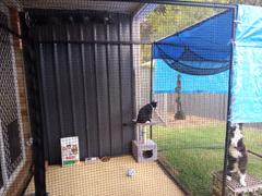Catnets Double Size 3.6m Freestanding Cat Enclosure Review