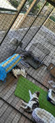 Catnets Triple Size 5.4m Free-Standing Cat Enclosure Review