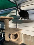 Catnets Premium Shade Sail to suit all Freestanding Cat Enclosures Review