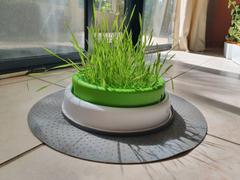 Catnets Catit 2.0 – Grass Planter Refill Review