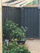 Catnets Stainless Reinforced Premium Cat Netting 10m x 3m Review