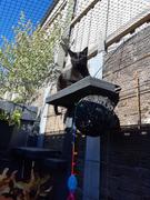 Catnets Cat Netting 20m x 1.8m Black Review