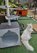 Catnets Skywalks Outdoor Cat Tree Extension Review