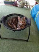 Catnets Skywalks Floor Cat Hammock – With Stand Review