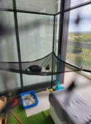 Catnets Single Size 1.8m Free-Standing Cat Enclosure Review