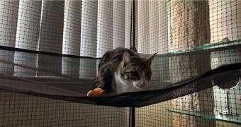 Catnets Single Size 1.8m Free-Standing Cat Enclosure Review