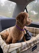 Ramp Champ PetSafe® Deluxe On-Seat Booster Safety Seat for Cars Review