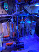 Aqua Lab Aquaria CarbonDoser Electronic CO2 Regulator Review