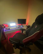 Secretlab US Secretlab TITAN™ Evo Review