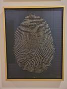 God's fingerprints KJV Illuminated Fingerprint - Gold on Black (Limited Edition) Review