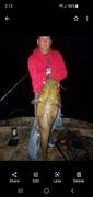 Catfish Sumo Catfish Sumo Snapback Trucker Hat Review