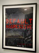 Flipside Canvas [SIGNED] Jocko | Default Aggressive - Vertical Review