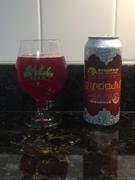 CraftShack® Area Two Synopsis Dark Sour Cherry Sour Ale Review
