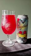 CraftShack® North Park Lambocito Fruited Sour Ale Review